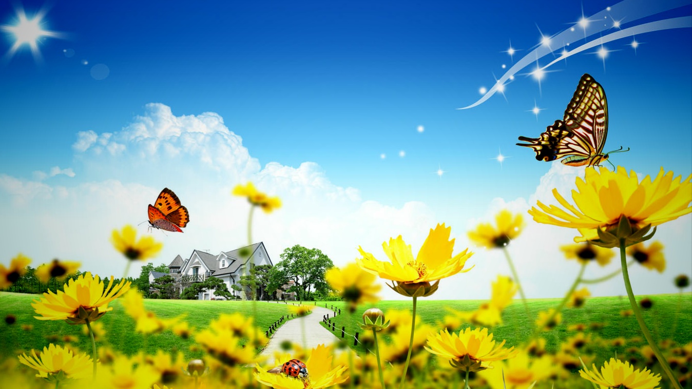 wallpaper kupu kupu,cynthia (subgenus),butterfly,natural landscape,nature,sky