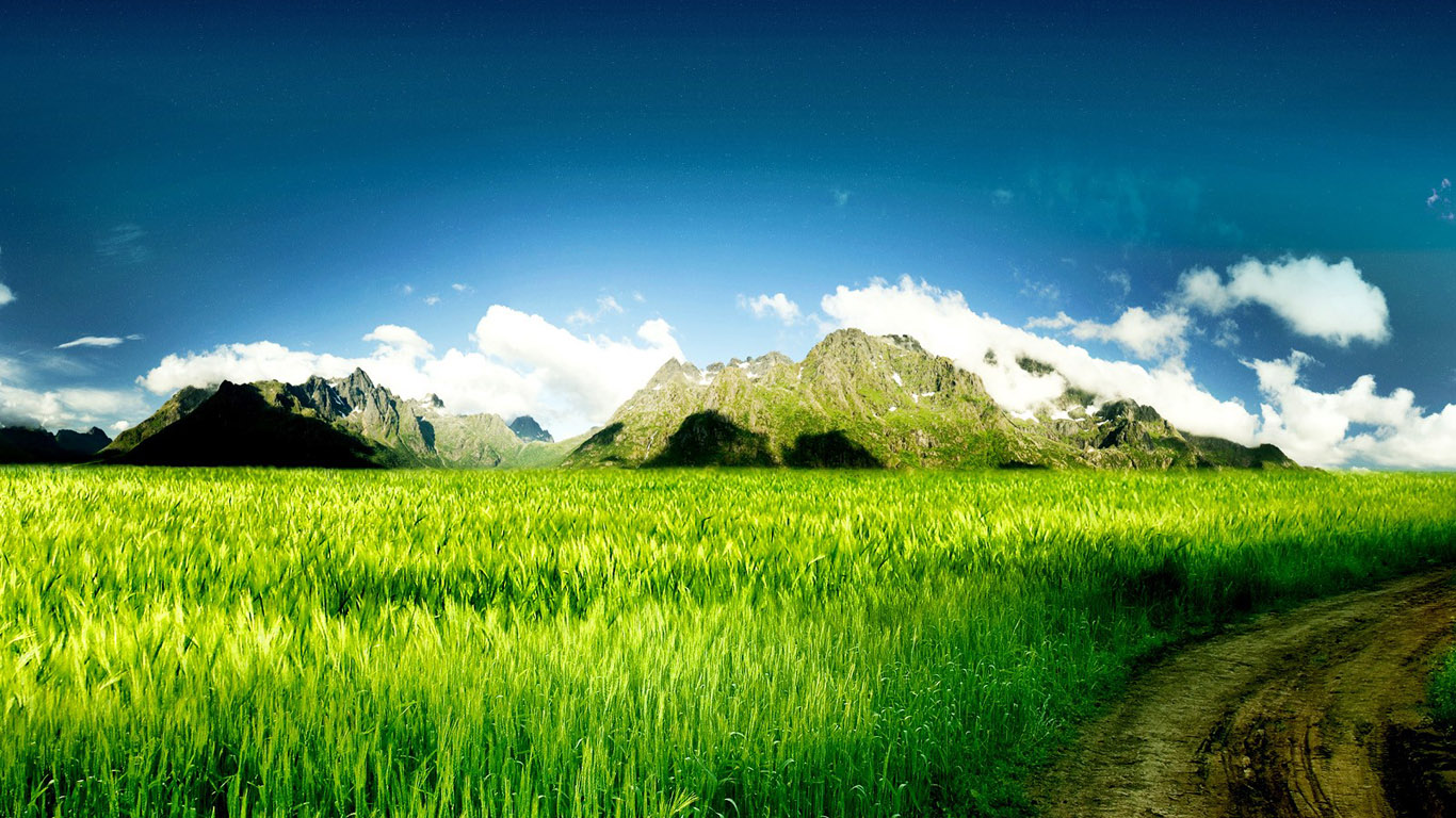 fondo de pantalla hd y 3d,paisaje natural,naturaleza,pradera,cielo,verde