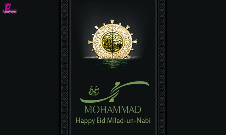eid milad un nabi beautiful wallpapers,font,logo,brand,label,book cover
