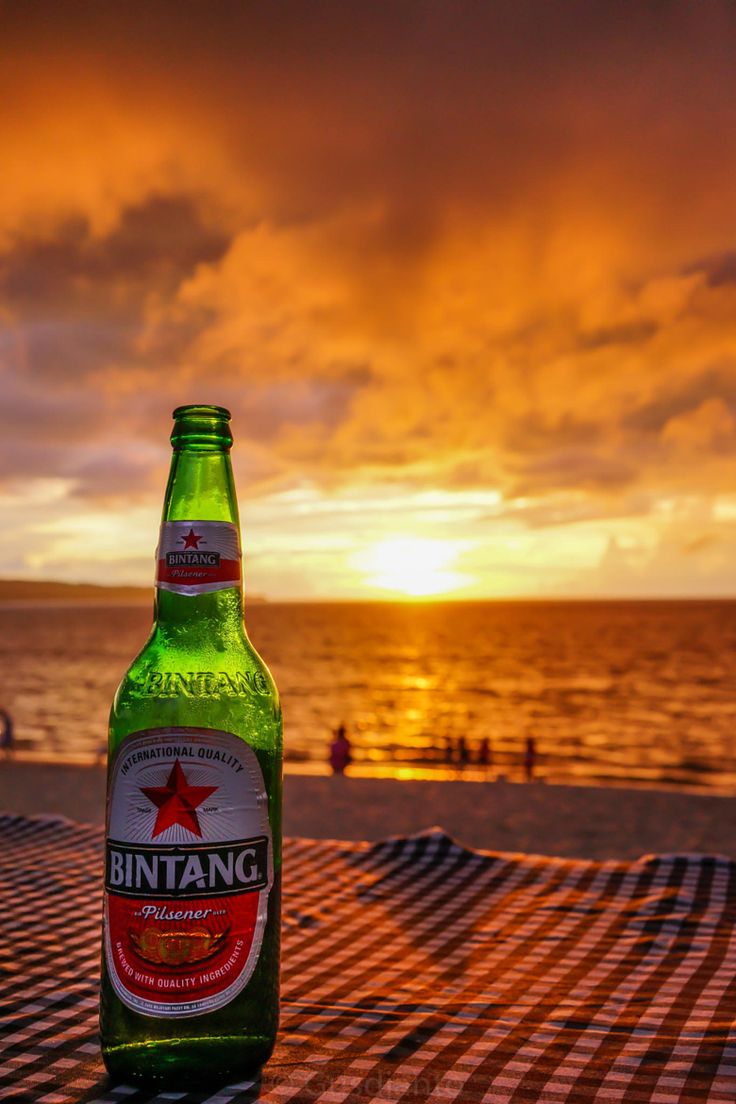 carta da parati bintang,bevanda,bottiglia,birra,bevanda alcolica,liquore