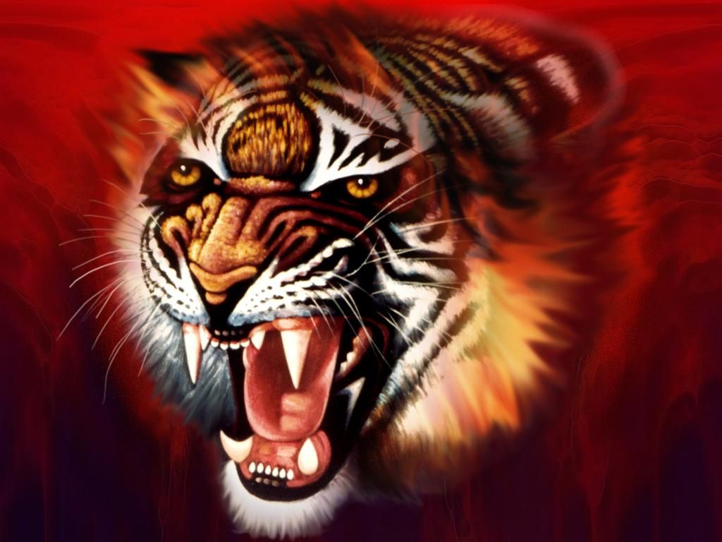 rk wallpaper,tigre de bengala,tigre,rugido,felidae,fauna silvestre