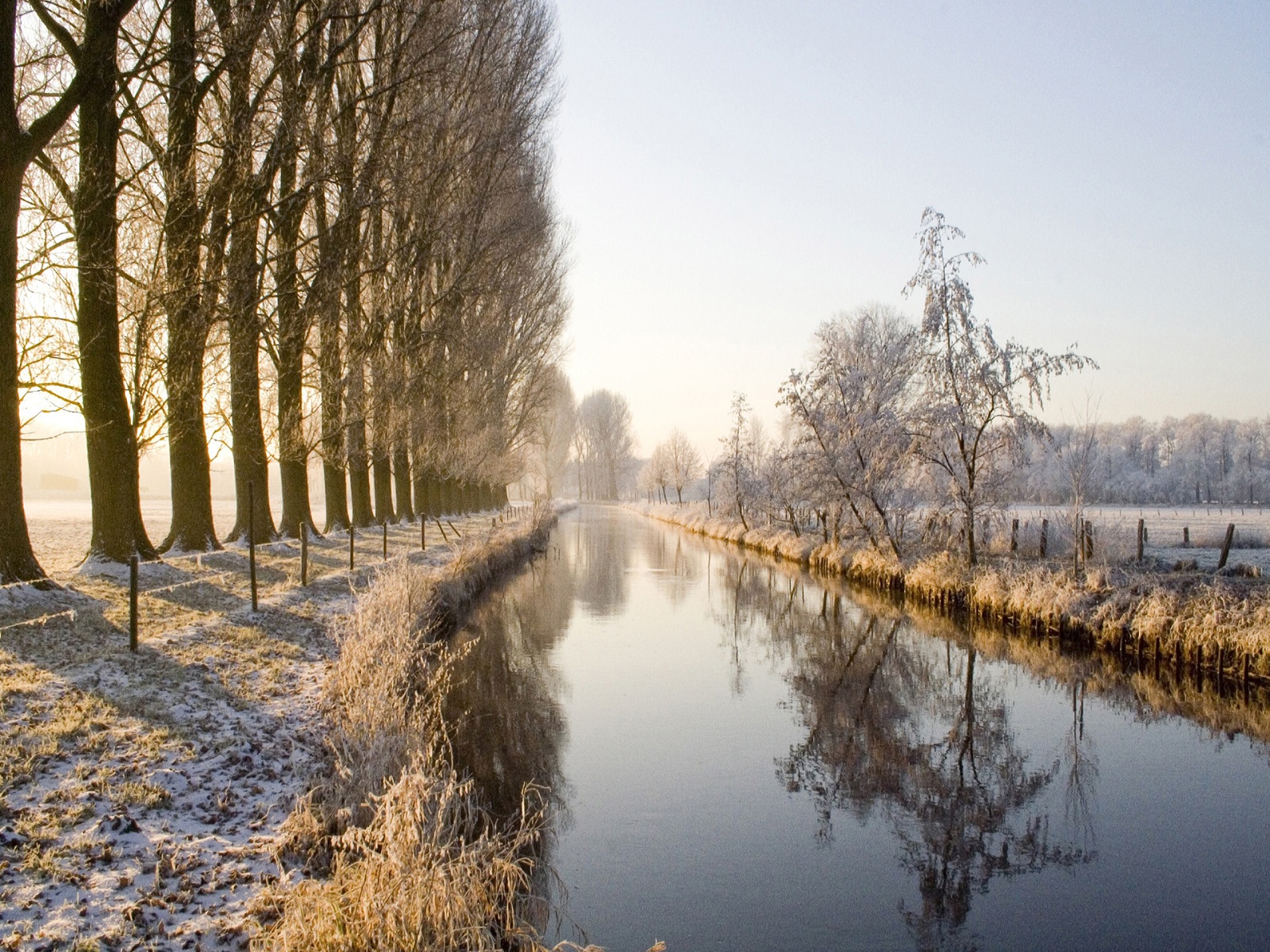 rk wallpaper,natural landscape,nature,waterway,atmospheric phenomenon,tree