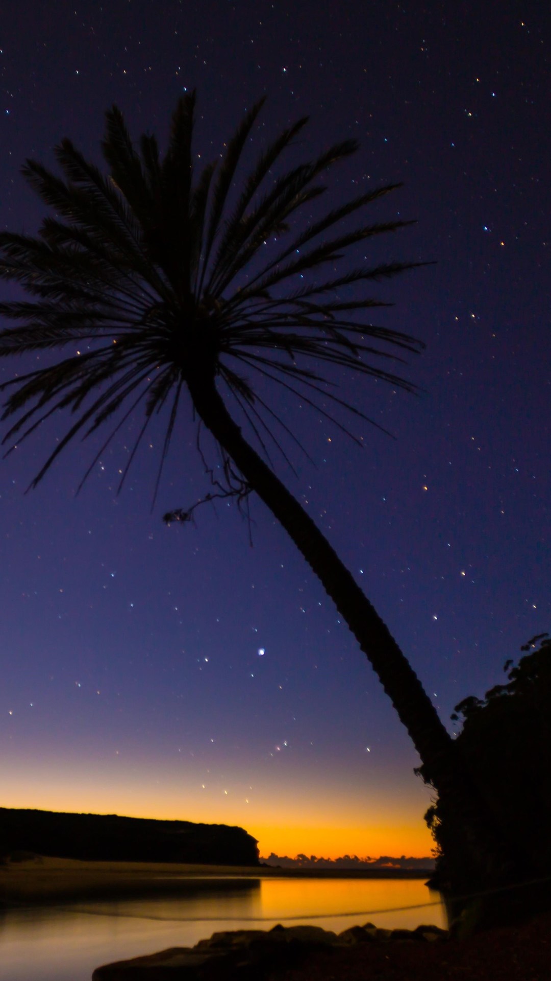 fondos de pantalla samsung j1 ace,cielo,naturaleza,árbol,palmera,noche