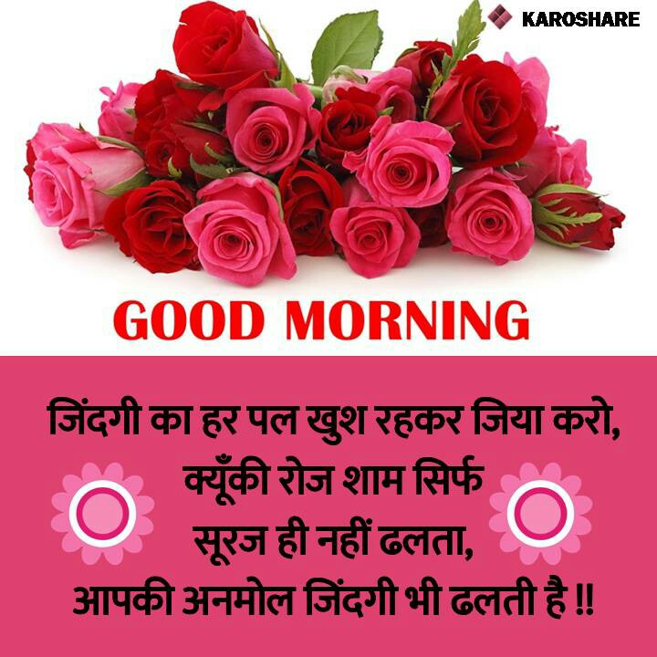 good morning ka wallpaper,pink,flower,rose,garden roses,text