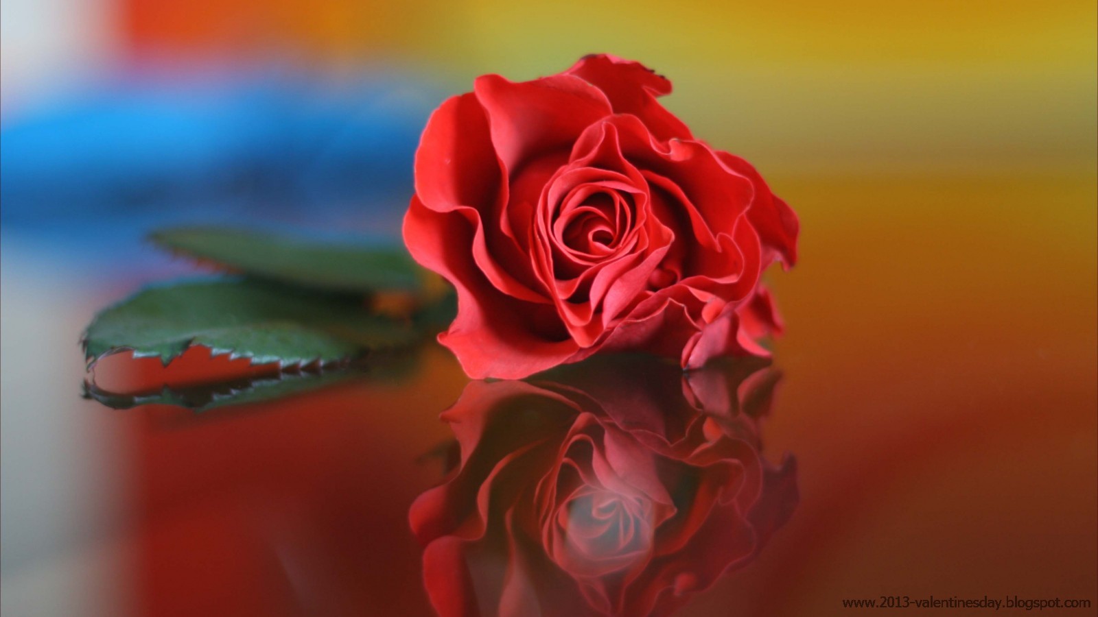 幸せなバラの日の壁紙,赤,庭のバラ,花,ローズ,花弁