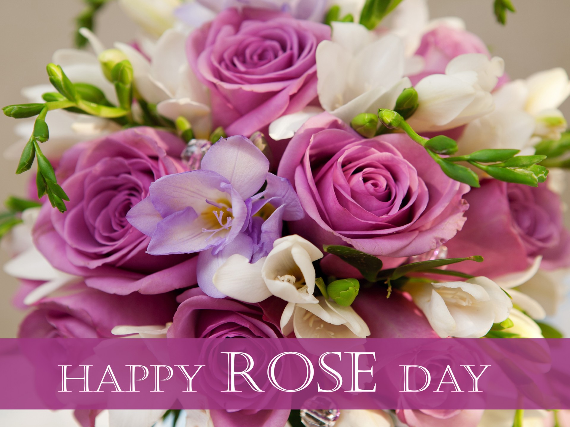 happy rose day wallpaper,flower,bouquet,flower arranging,cut flowers,purple