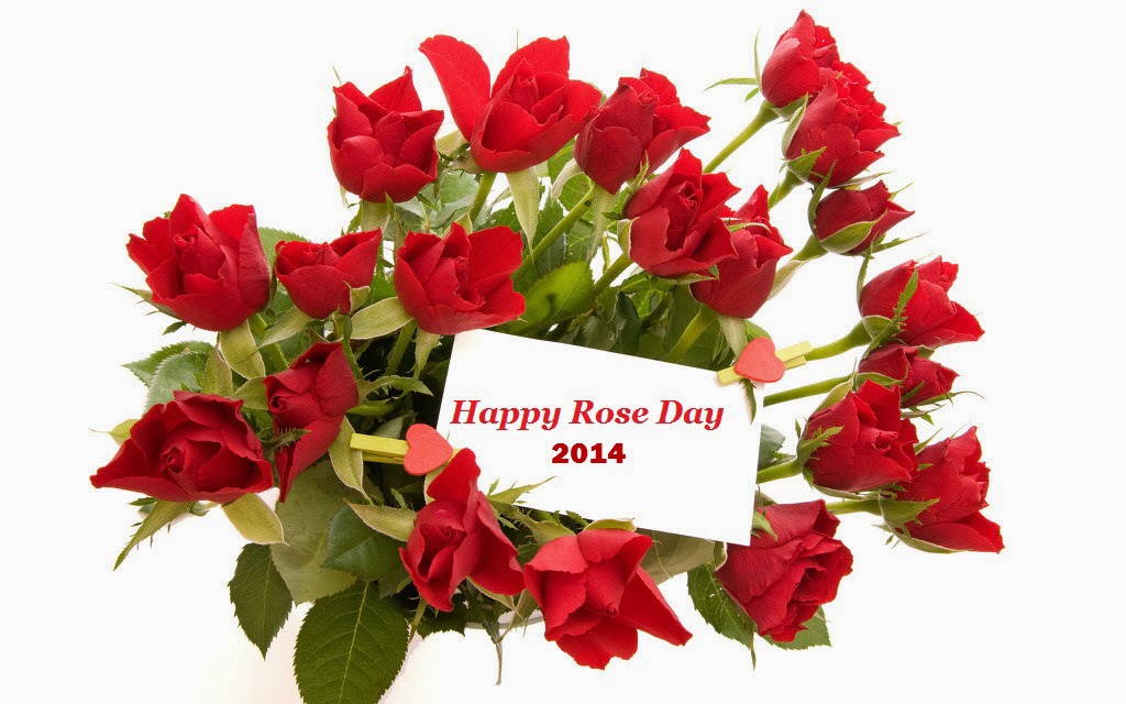 幸せなバラの日の壁紙,花,切り花,赤,花束,工場