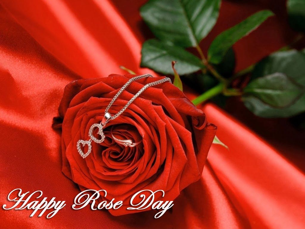 幸せなバラの日の壁紙,赤,庭のバラ,花,ローズ,バラ科