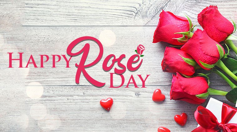 happy rose day wallpaper,text,schriftart,blütenblatt,rosa,natürliche lebensmittel