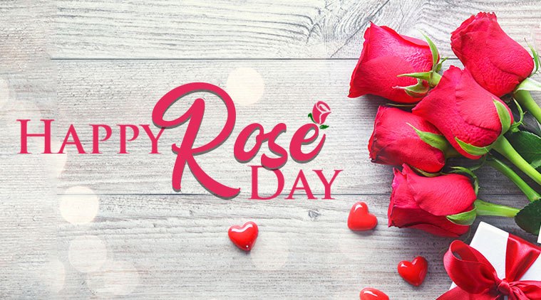 fond d'écran joyeux jour rose,texte,police de caractère,pétale,rose,aliments naturels