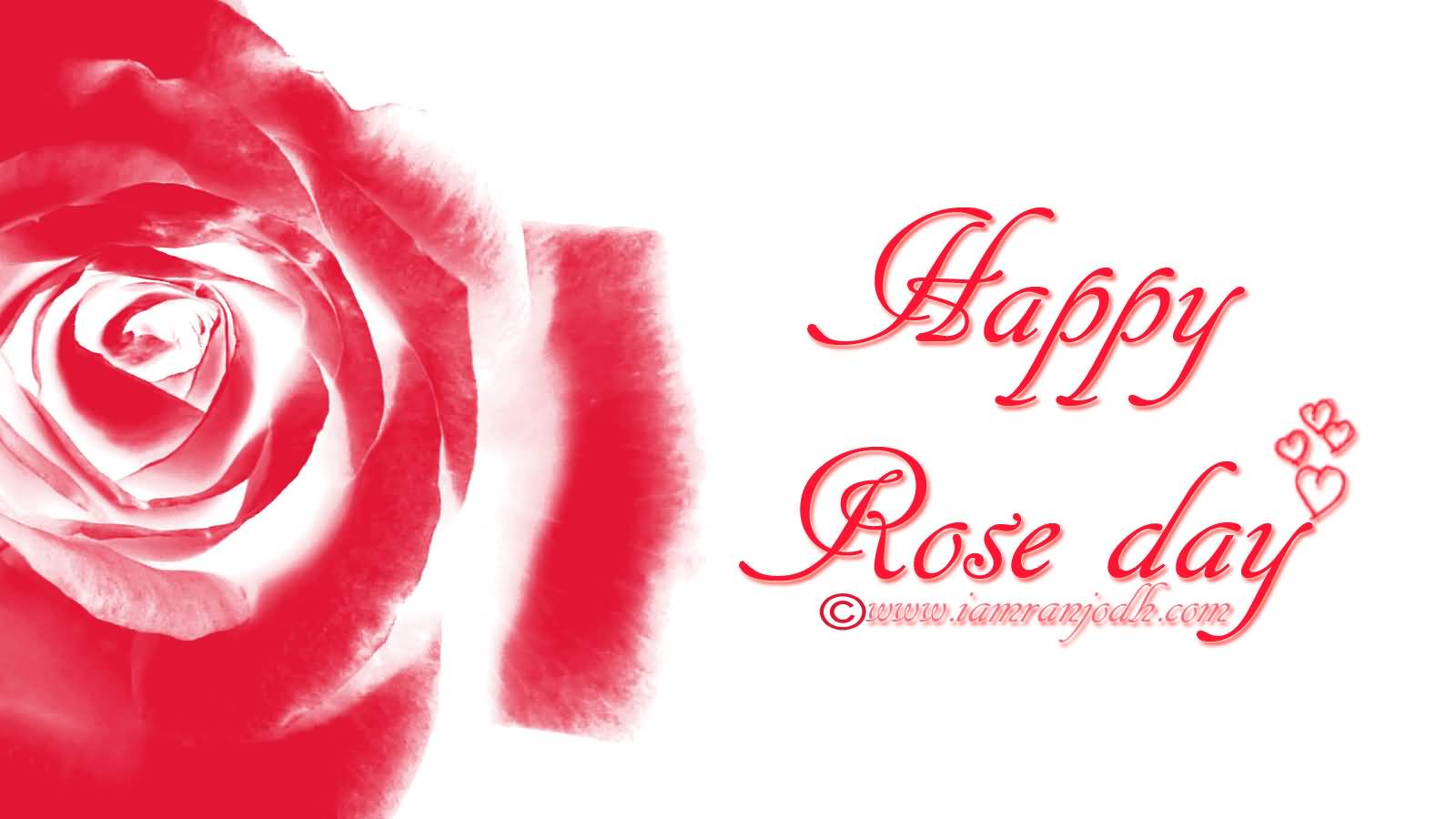 happy rose day wallpaper,text,rot,schriftart,rosa,rose