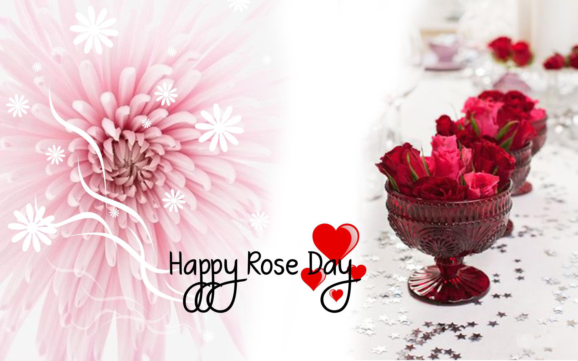 幸せなバラの日の壁紙,ピンク,テキスト,フォント,花弁,バレンタイン・デー