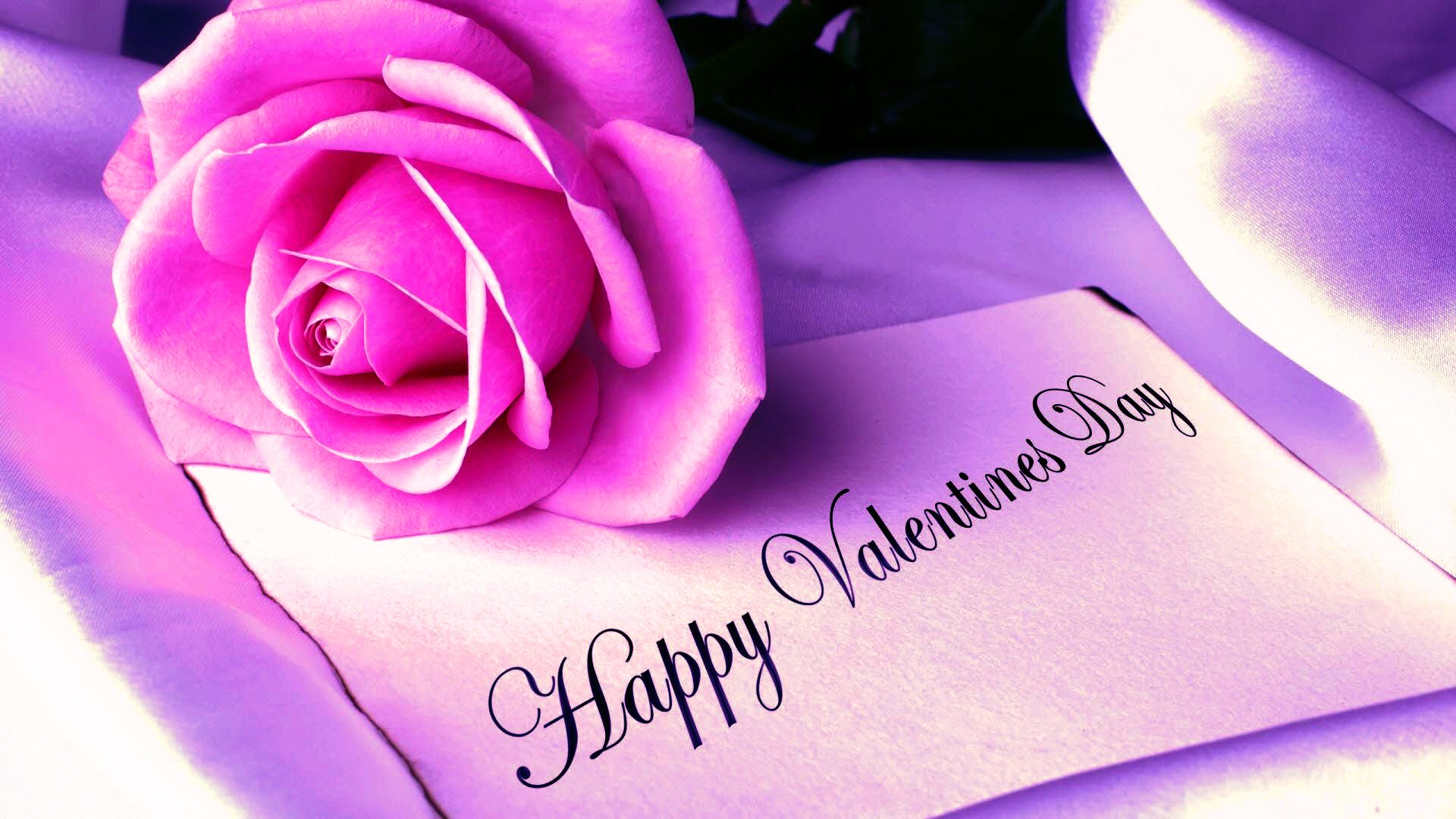 happy rose day wallpaper,purple,text,violet,font,flower