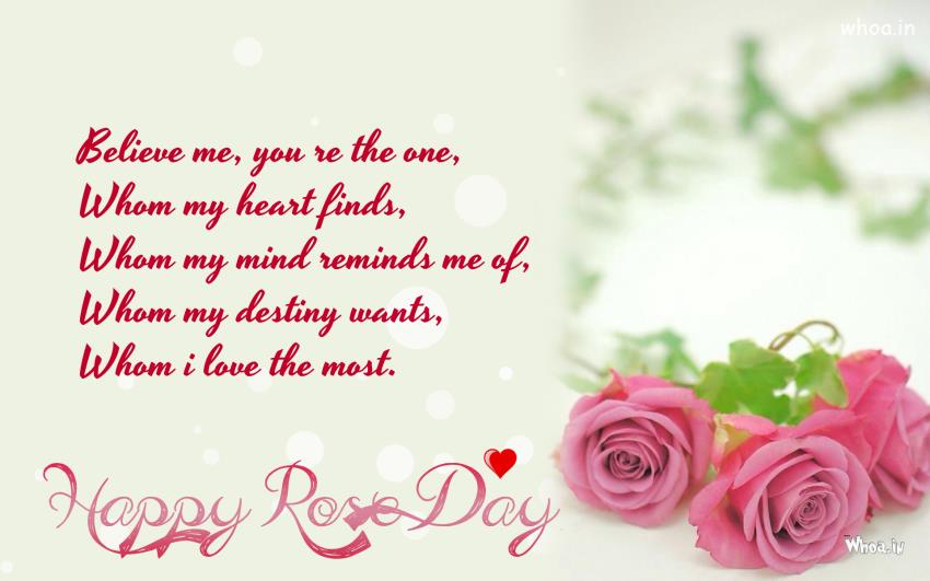 happy rose day wallpaper,pink,text,font,garden roses,petal