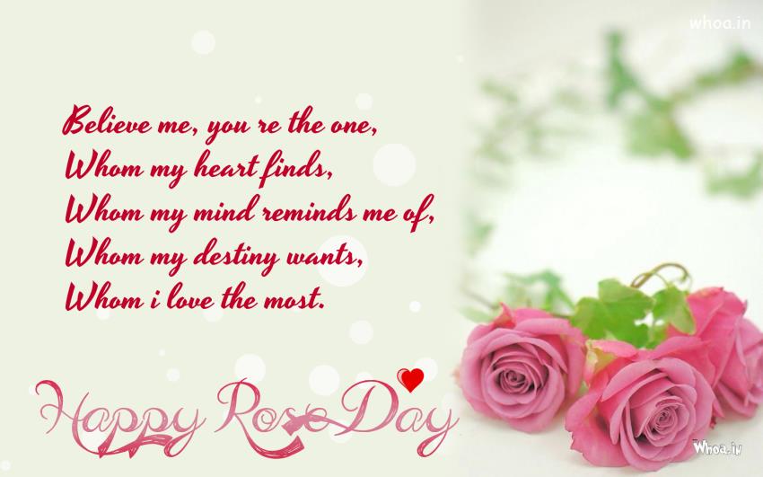 happy rose day wallpaper,rosa,text,schriftart,gartenrosen,blütenblatt