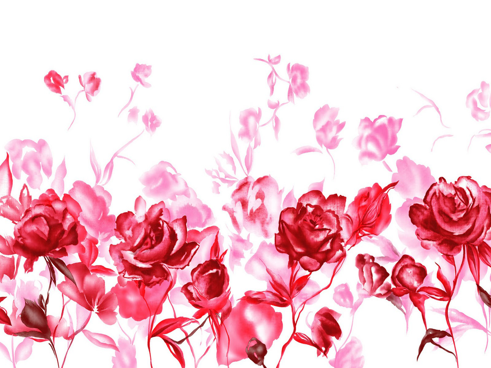 幸せなバラの日の壁紙,ピンク,庭のバラ,花弁,花,赤