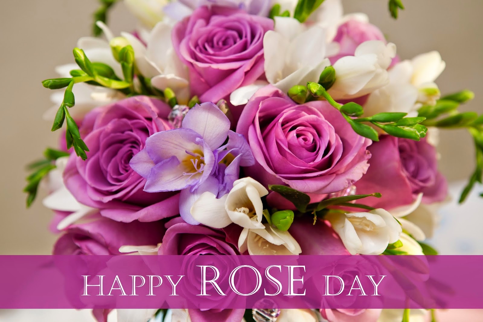 幸せなバラの日の壁紙,花,花束,フラワーアレンジメント,切り花,紫の