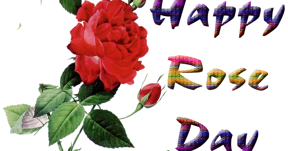 Rose Day Wallpaper - Rose- WallpaperUse