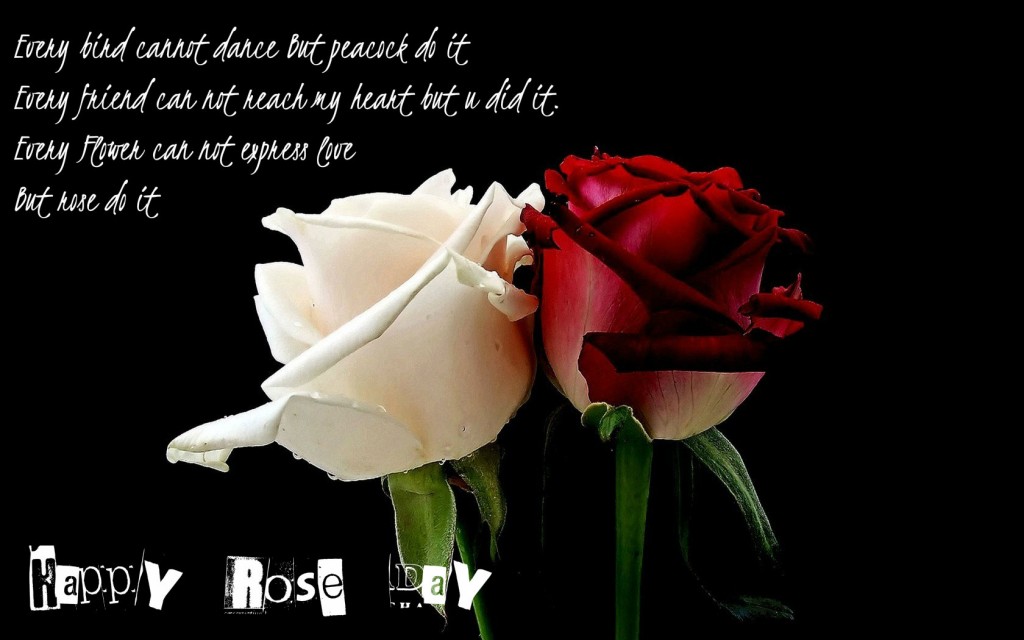 happy rose day wallpaper,garden roses,petal,rose,cut flowers,flower
