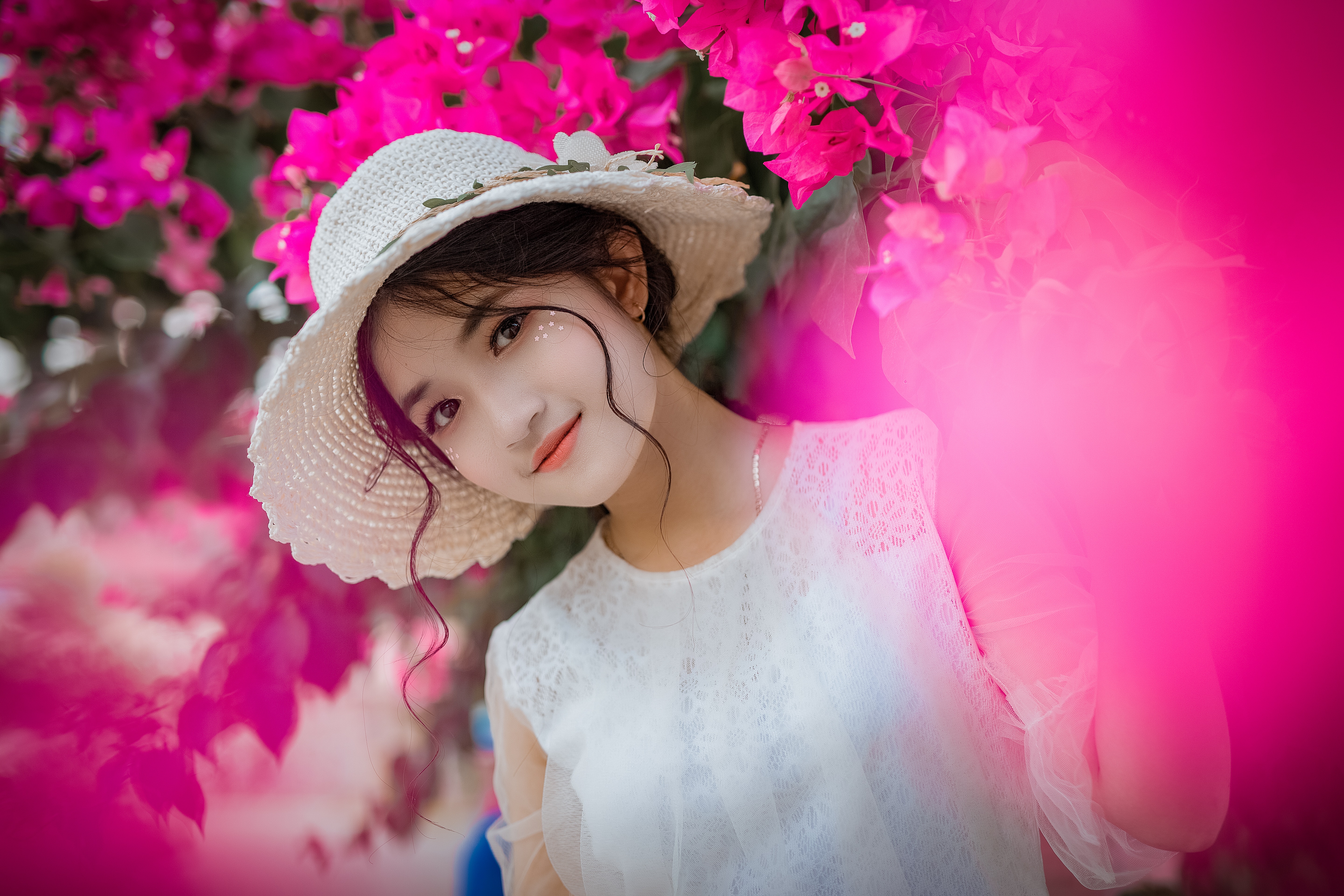 소녀를위한 whatsapp 벽지,분홍,아름다움,꽃,봄,꽃잎
