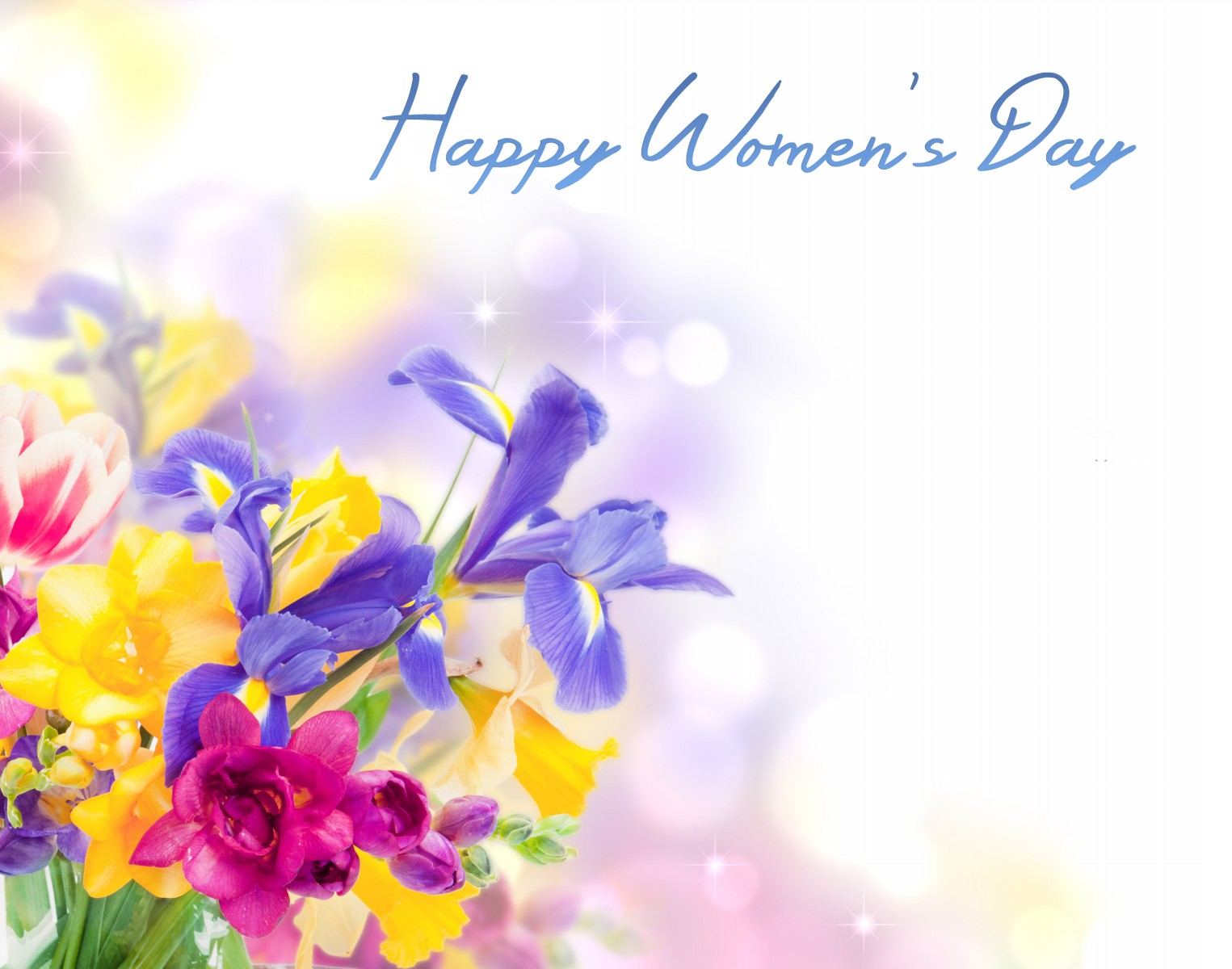 womens day wallpaper,flower,violet,spring,plant,purple