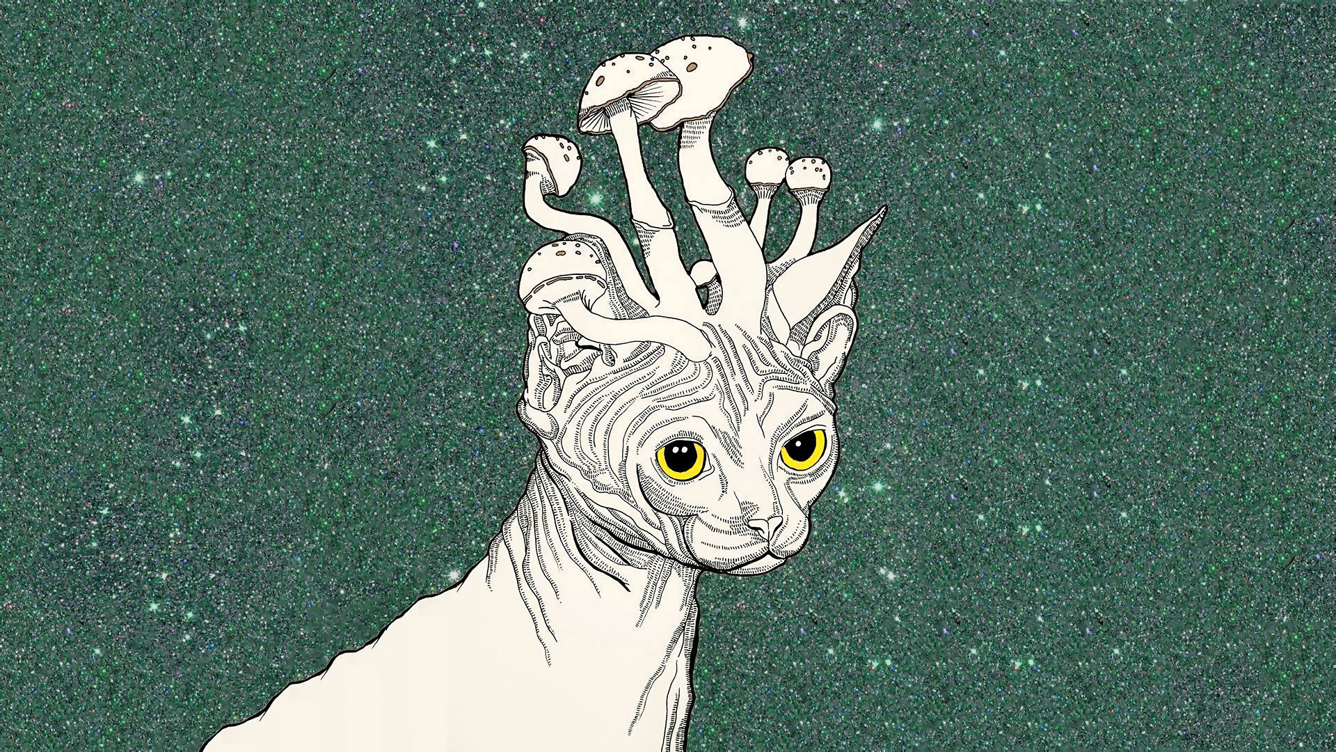 stoner wallpaper,head,illustration,drawing,fictional character,cat