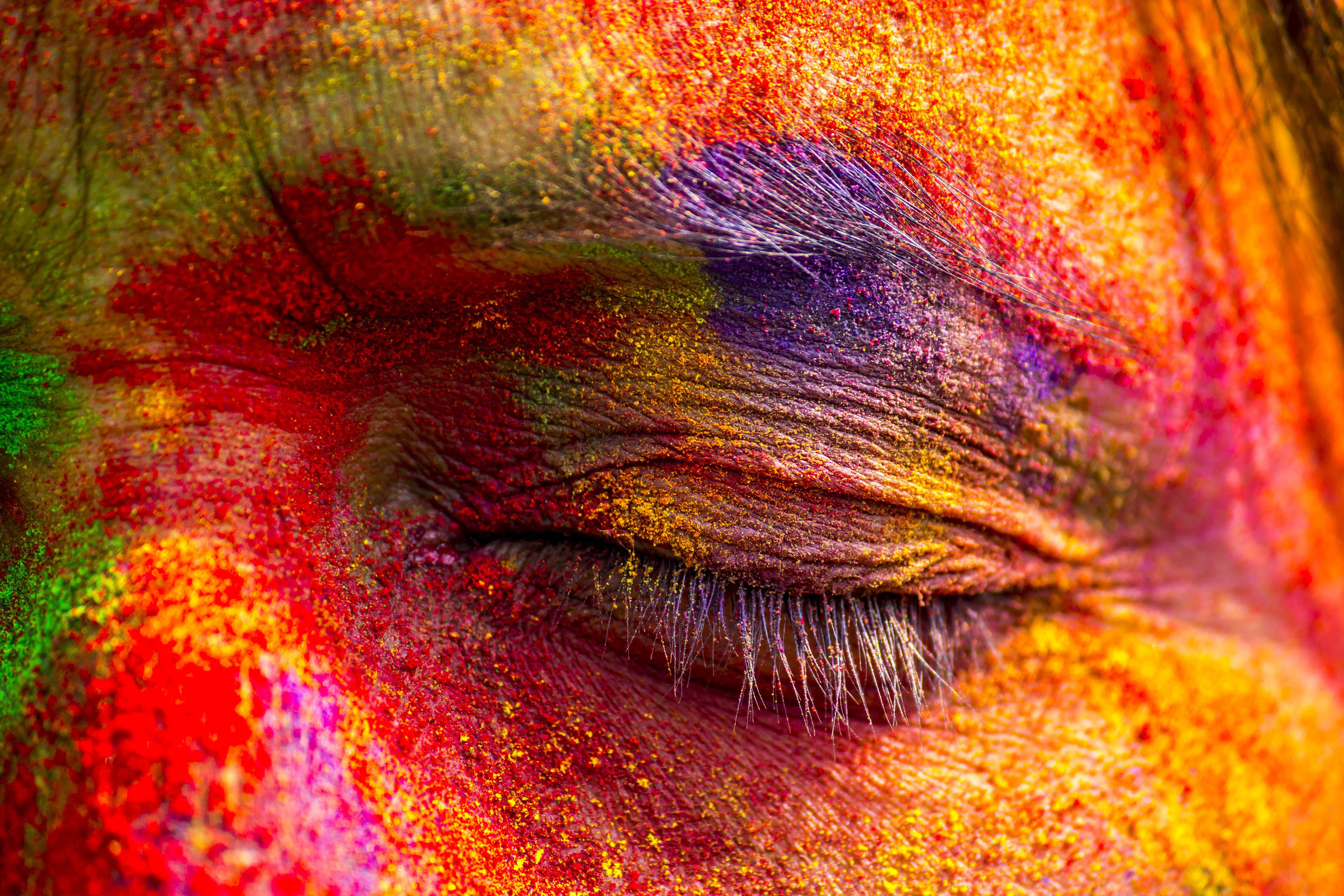 fond d'écran holi hd 1080p,visage,œil,rouge,fermer,couleur