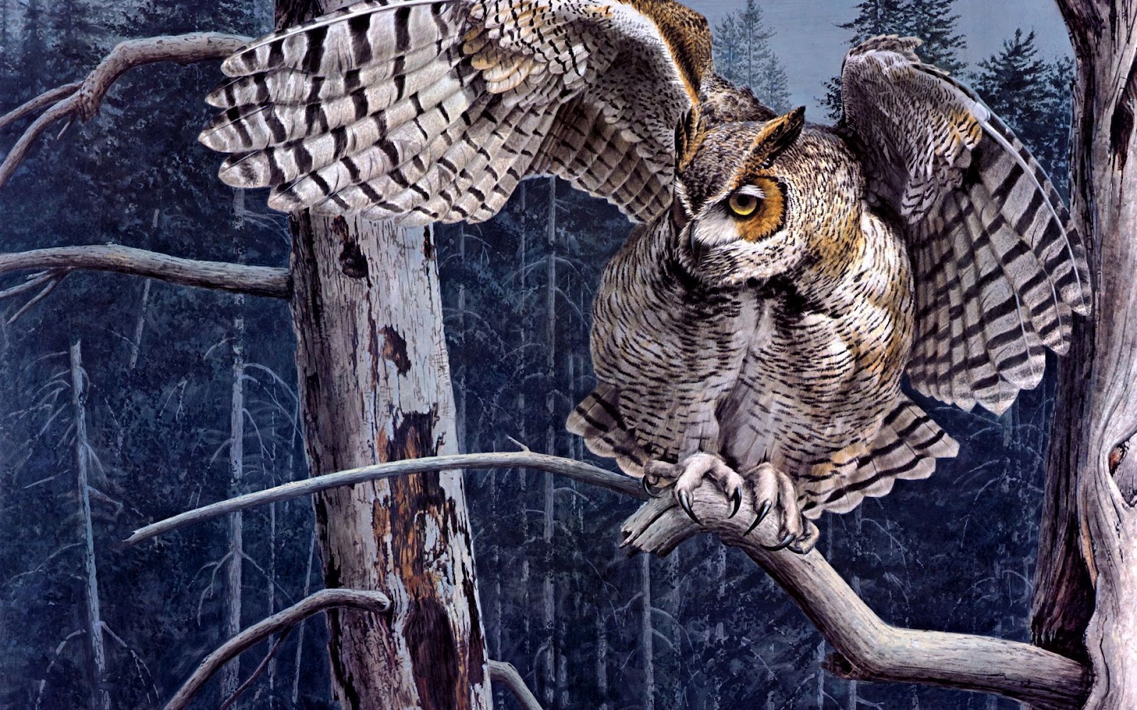 buho wallpaper,owl,bird,bird of prey,great grey owl,eastern screech owl