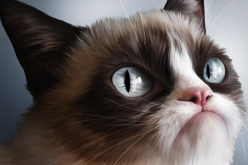 grumpy cat wallpaper,cat,vertebrate,whiskers,mammal,small to medium sized cats