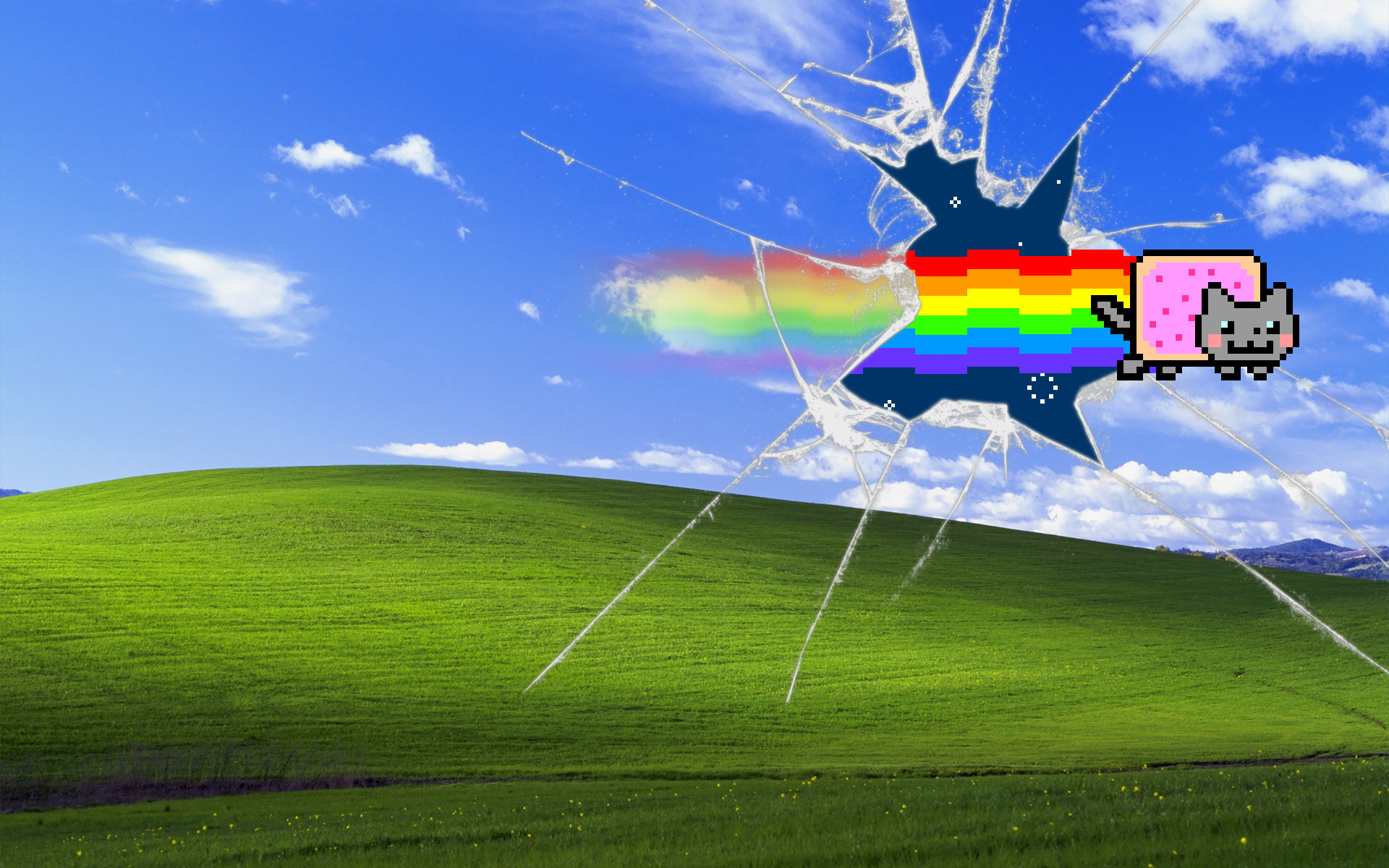 nyan cat wallpaper,sky,grassland,grass,graphic design,meteorological phenomenon