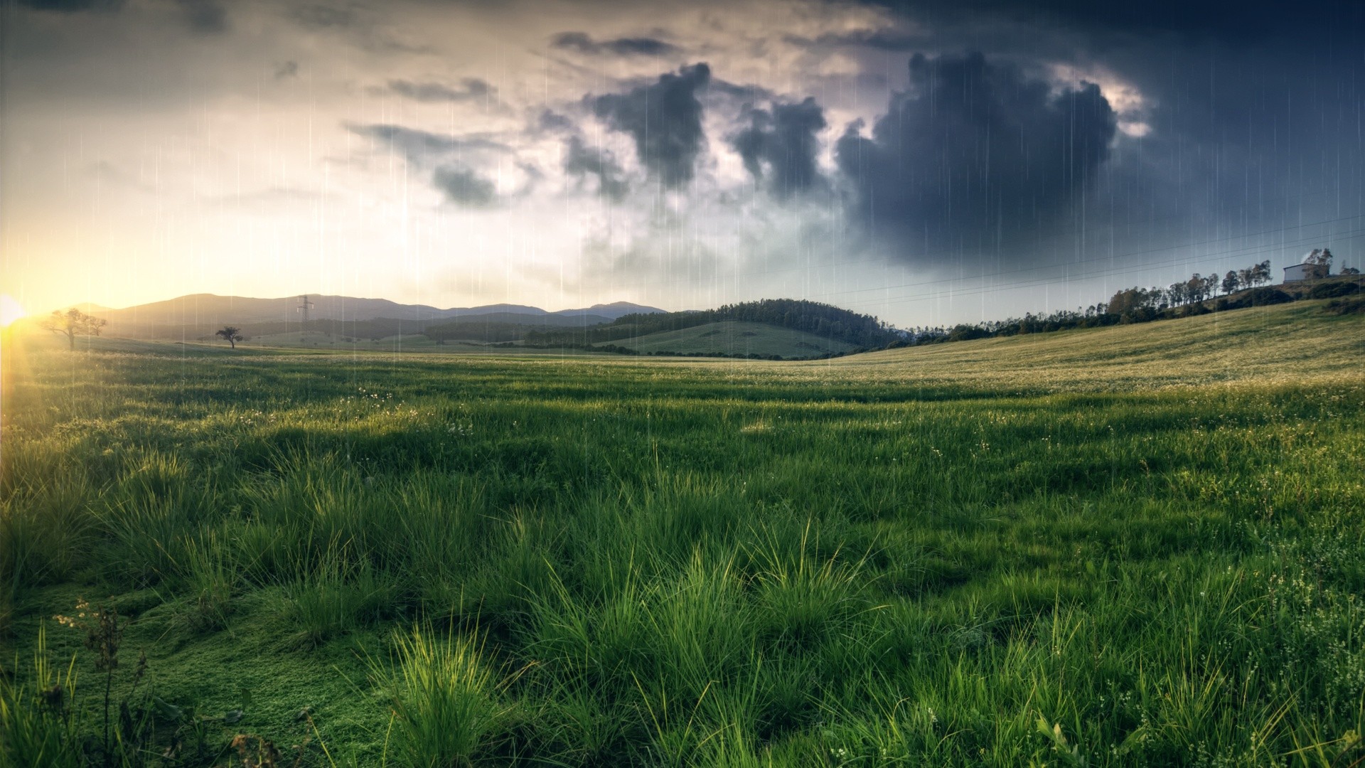 fondo de pantalla hd para móvil 1920x1080 descargar,pradera,cielo,naturaleza,paisaje natural,verde