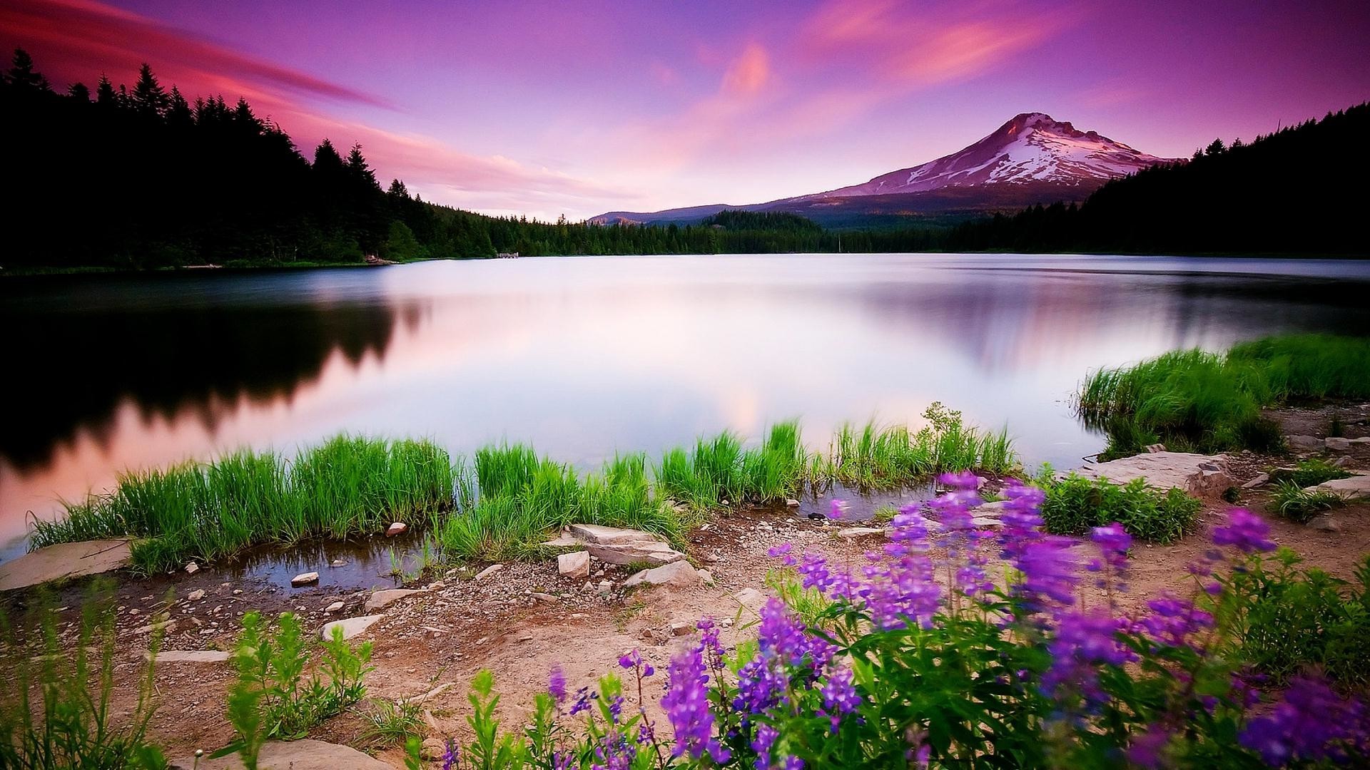 amour fond d'écran hd 1080p téléchargement gratuit,paysage naturel,la nature,lac,ciel,réflexion