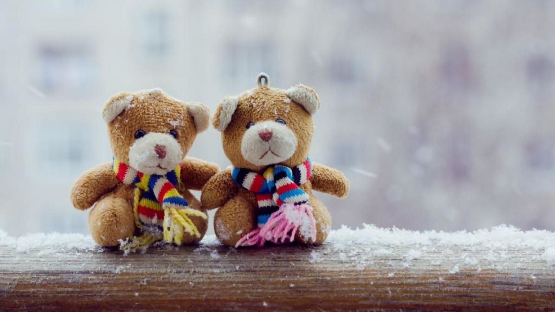 cute teddy bear wallpapers,teddy bear,stuffed toy,toy,plush,bear
