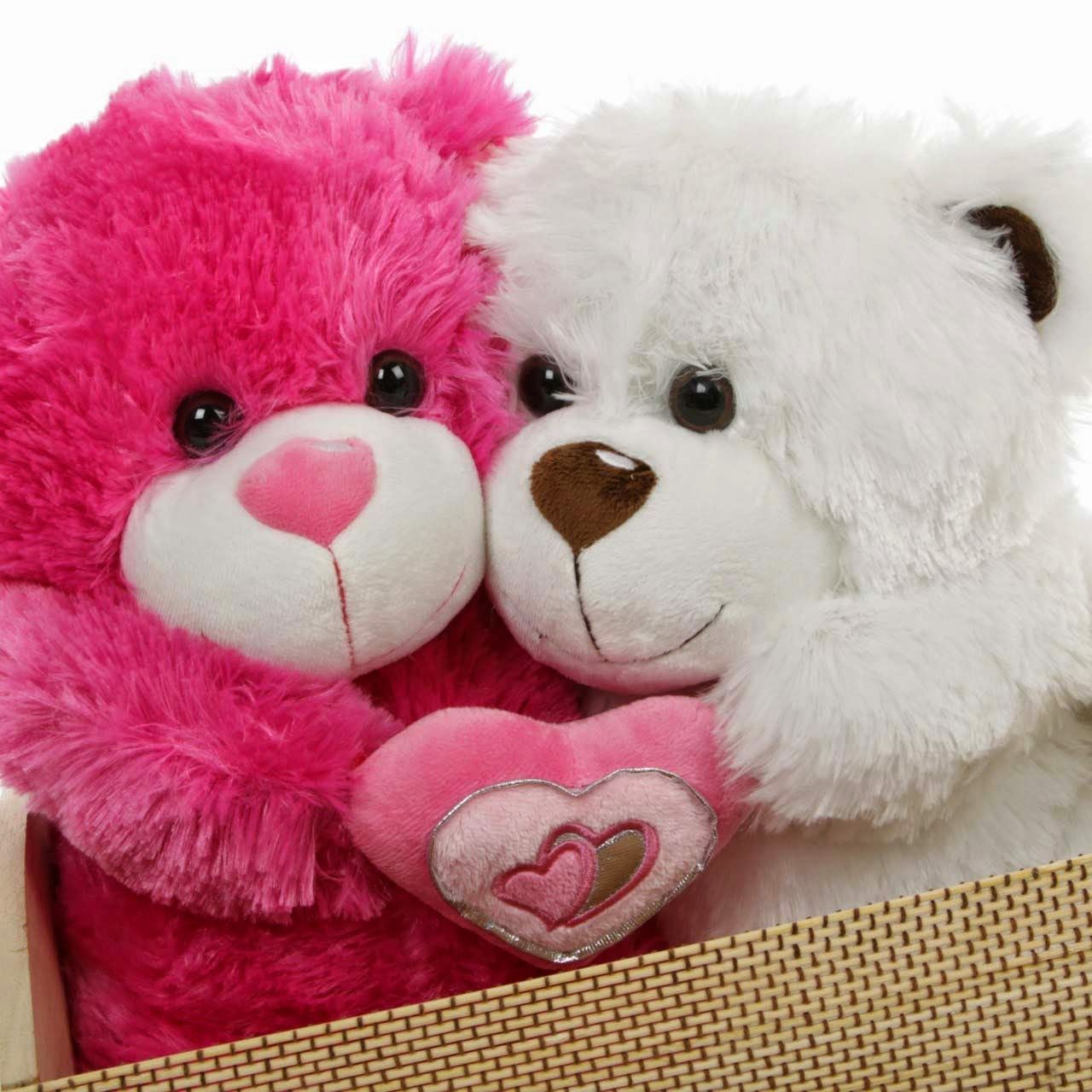 lindo oso de peluche fondos de pantalla,peluche,oso de peluche,felpa,juguete,rosado