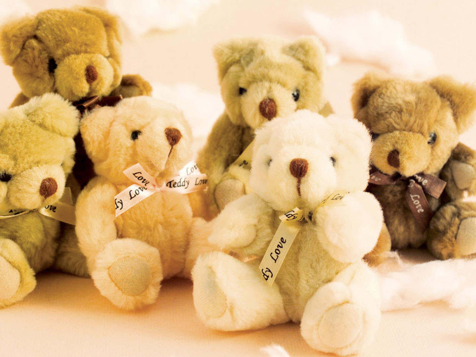 cute teddy bear wallpapers,stuffed toy,teddy bear,toy,plush,bear
