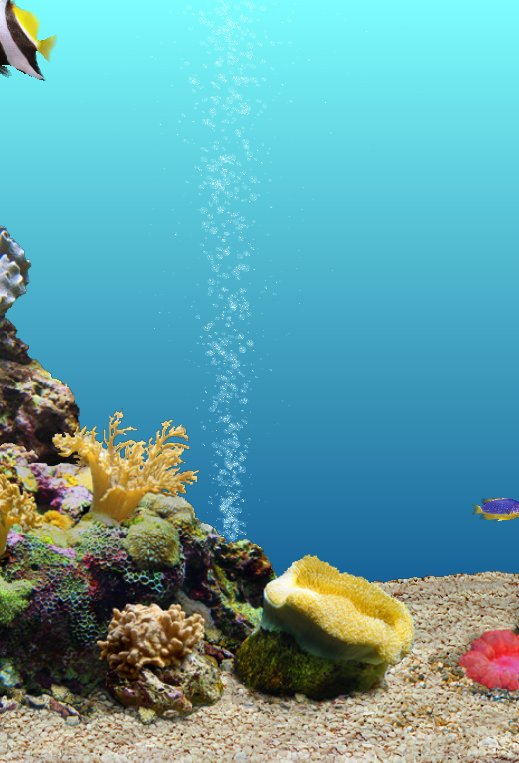 fondos de pantalla壁紙,水中,リーフ,サンゴ礁,海洋生物学,サンゴ礁の魚