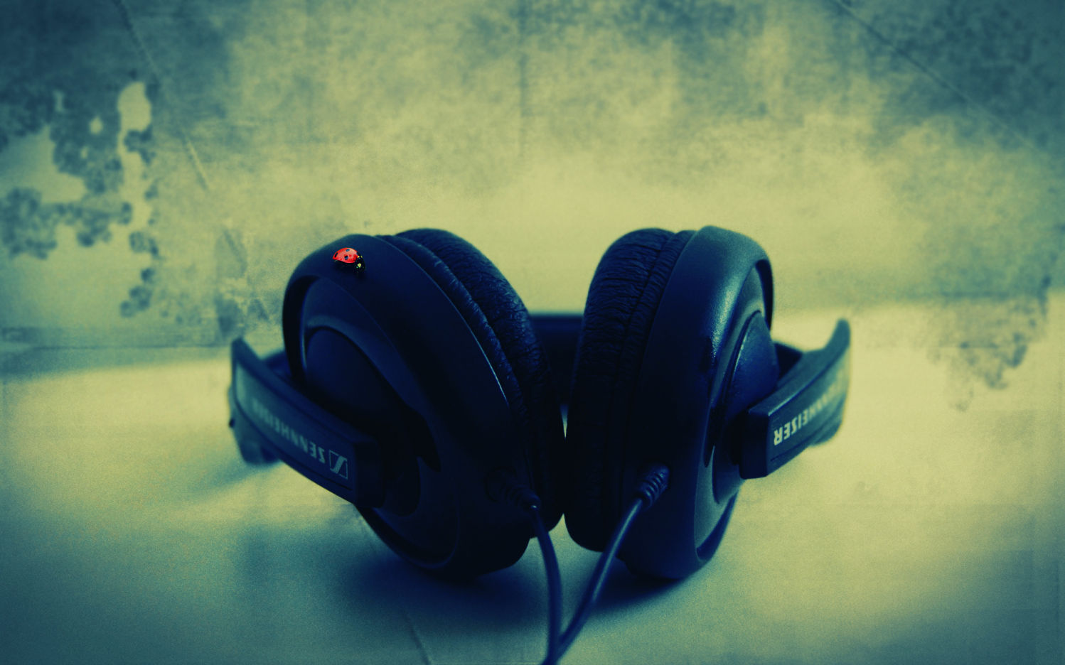 fondos de pantalla wallpapers,blue,headphones,audio equipment,gadget,headset