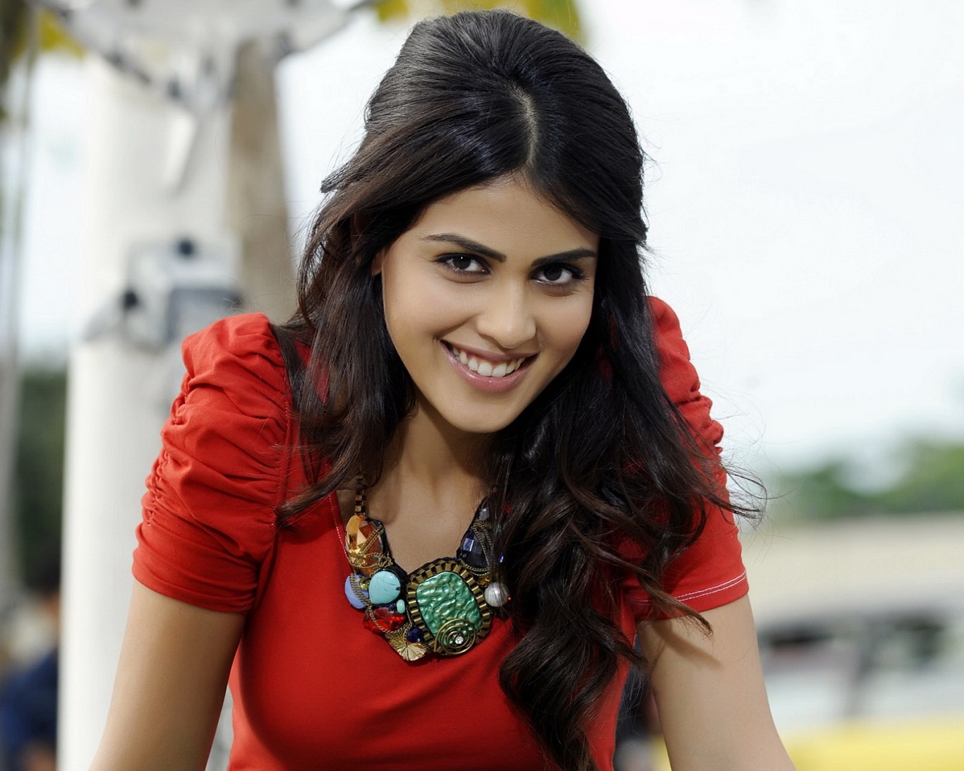 fonds d'écran genelia d souza,cheveux,beauté,coiffure,séance photo,cool