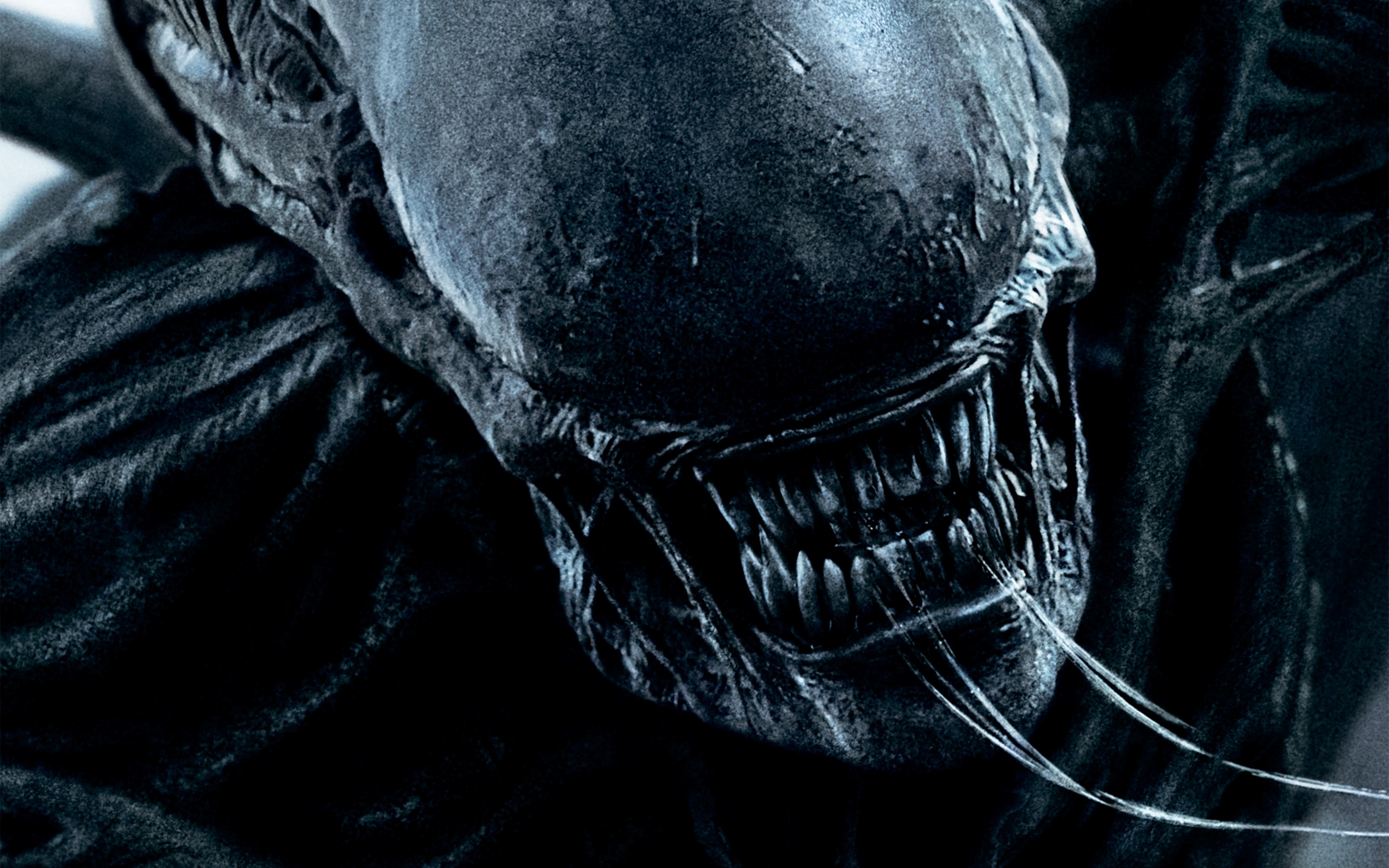 alien covenant wallpaper,darkness,fictional character,batman,photography,black and white