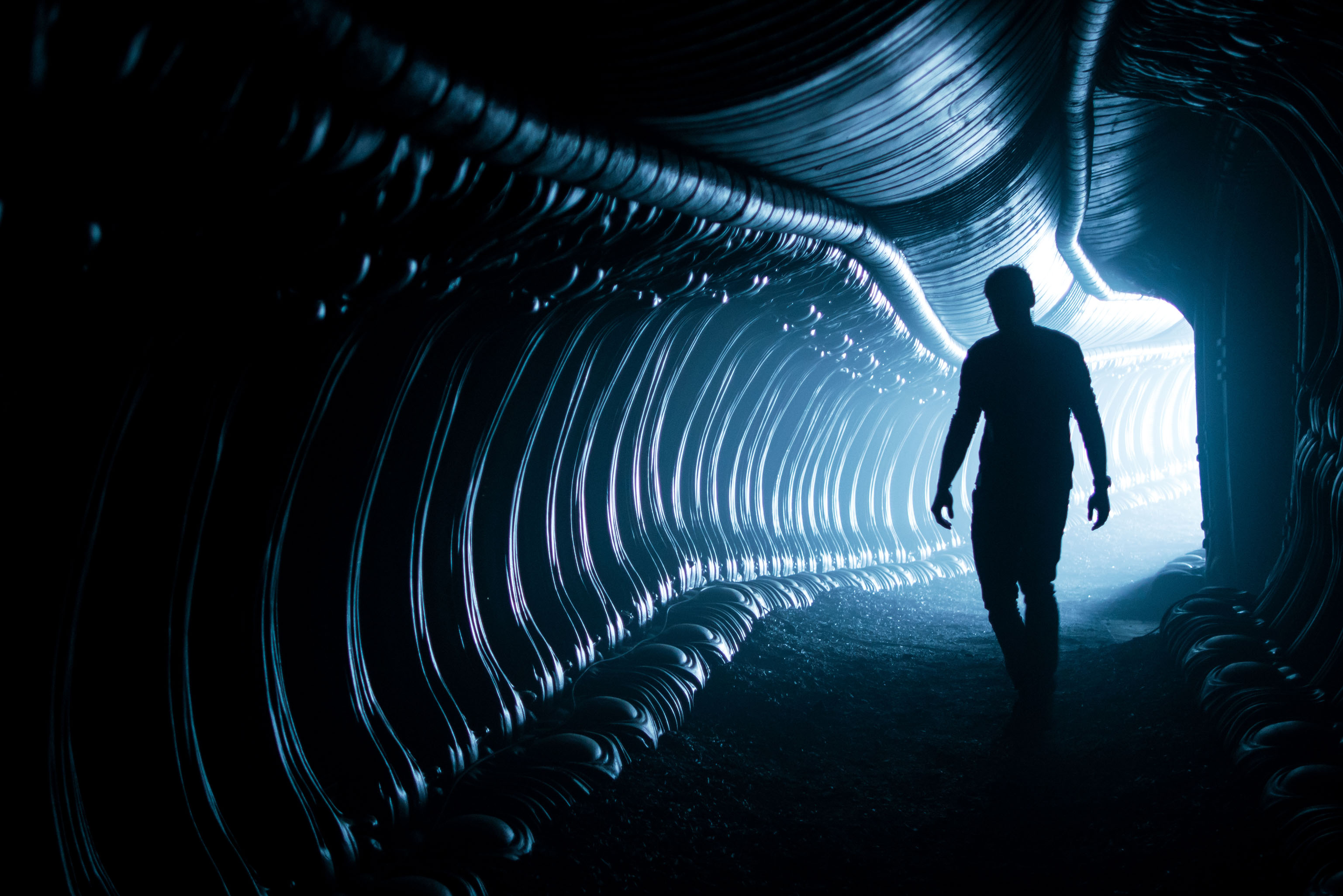 alien covenant wallpaper,darkness,light,backlighting,tunnel,standing