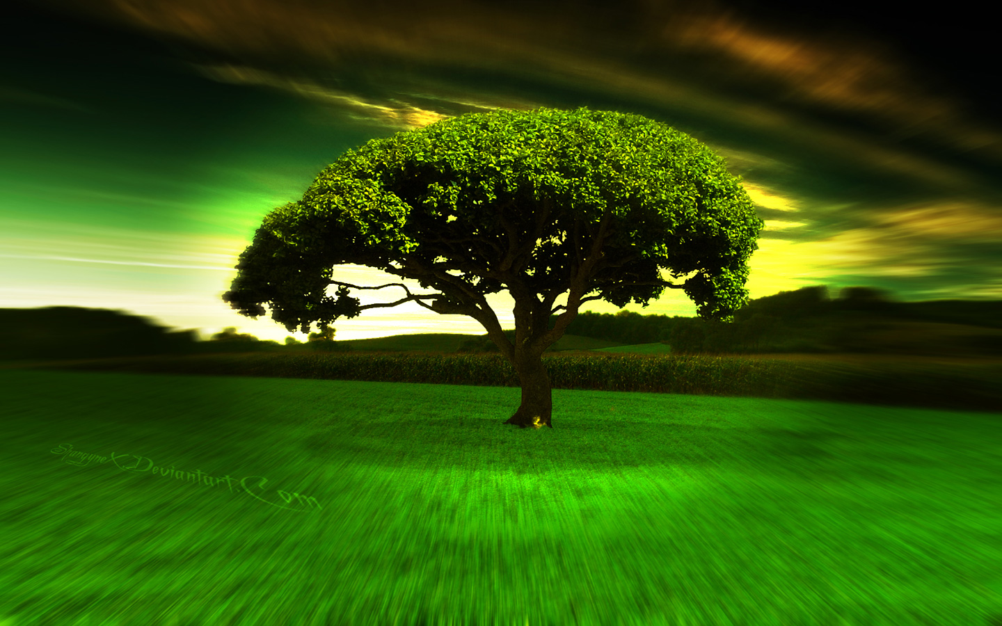 download gratuito di 3d wallpaper hd 1080p,verde,paesaggio naturale,natura,cielo,albero