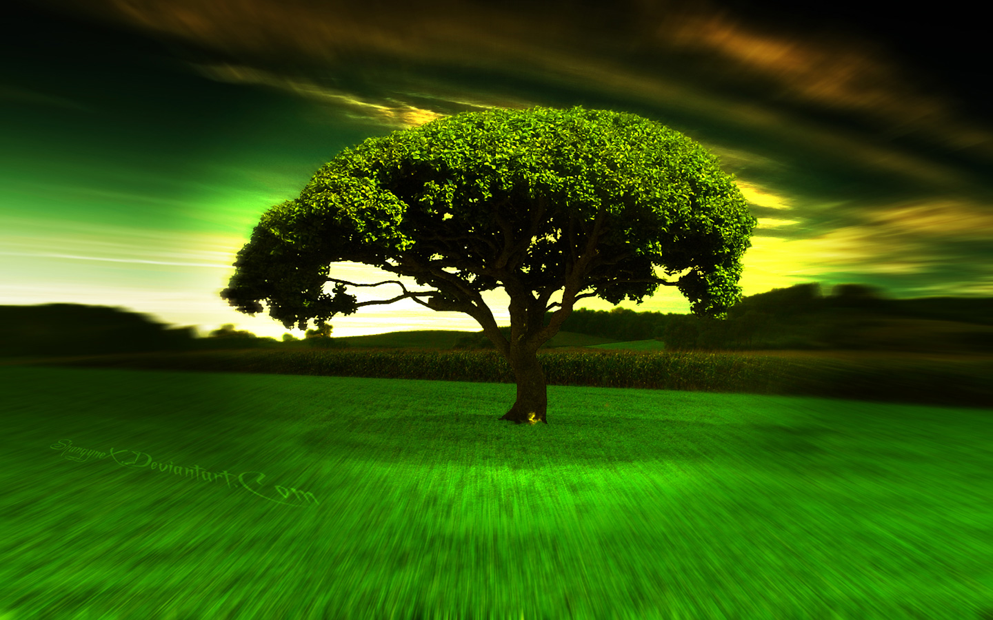 3d wallpaper hd 1080p descarga gratuita,verde,paisaje natural,naturaleza,cielo,árbol