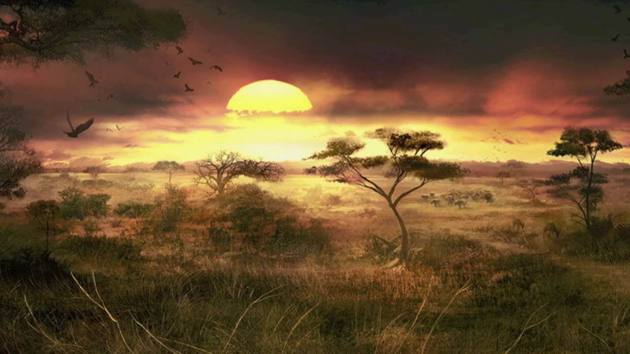 sfondi mrsuicidesheep,natura,paesaggio naturale,cielo,savana,prateria