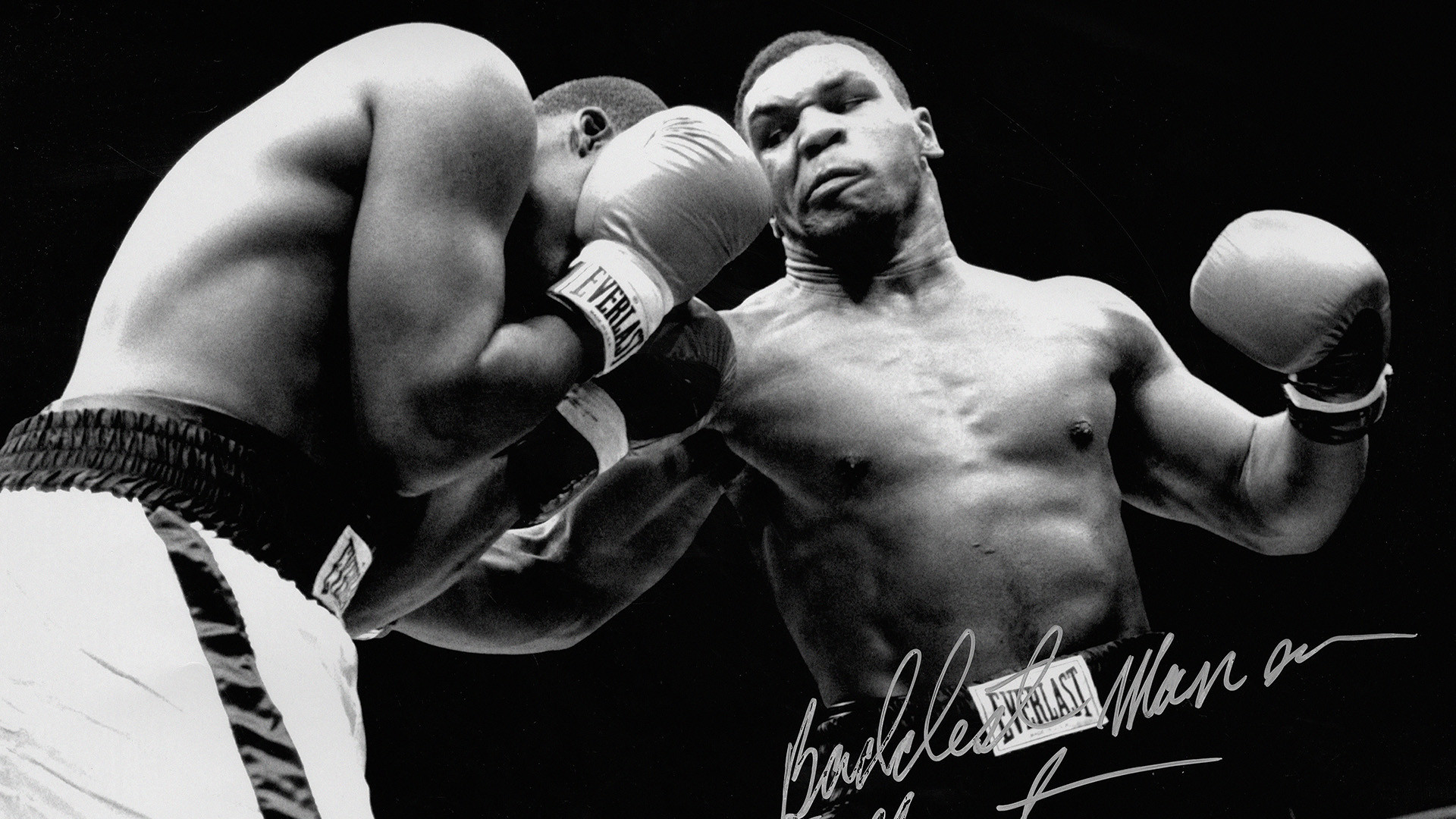 fond d'écran mike tyson,gant de boxe,boxe,boxe professionnelle,torse nu,ring de boxe