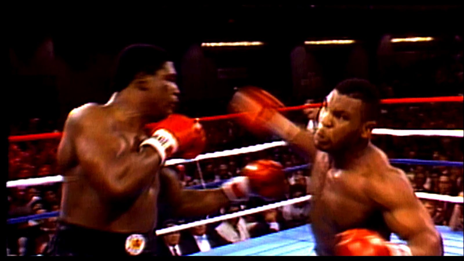 fondo de pantalla de mike tyson,deporte de combate,boxeo,descalzo,ring de boxeo,boxeo profesional