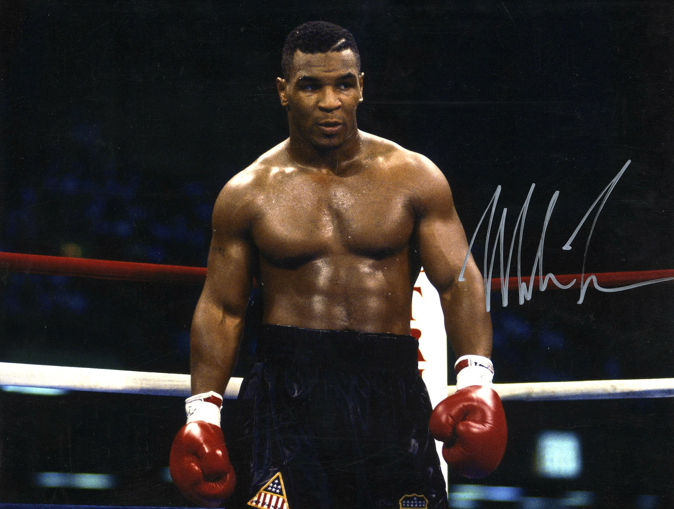 mike tyson tapete,ohne brust,professionelles boxen,kampfsport,boxen,boxring