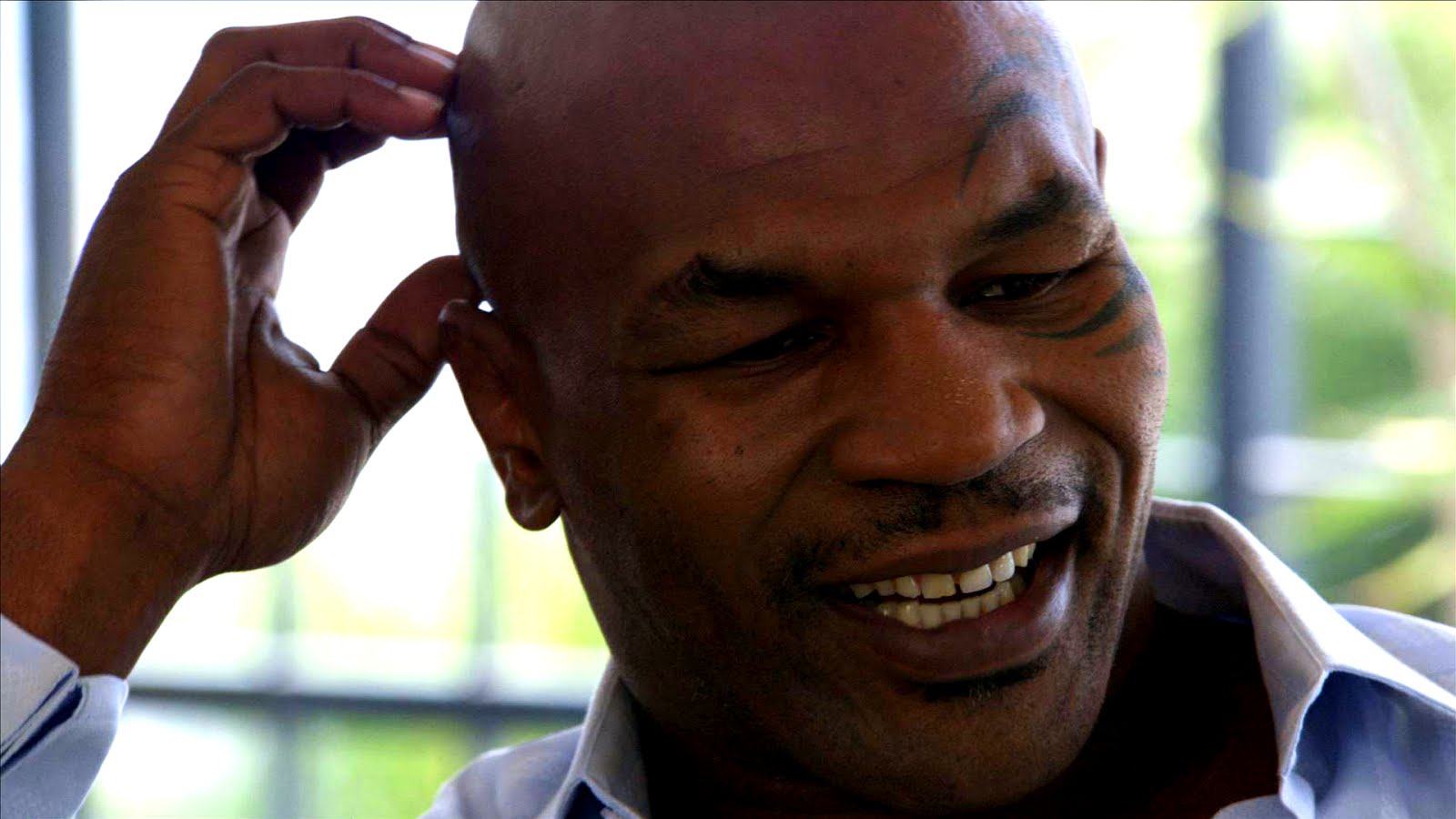 mike tyson wallpaper,face,forehead,facial expression,nose,head