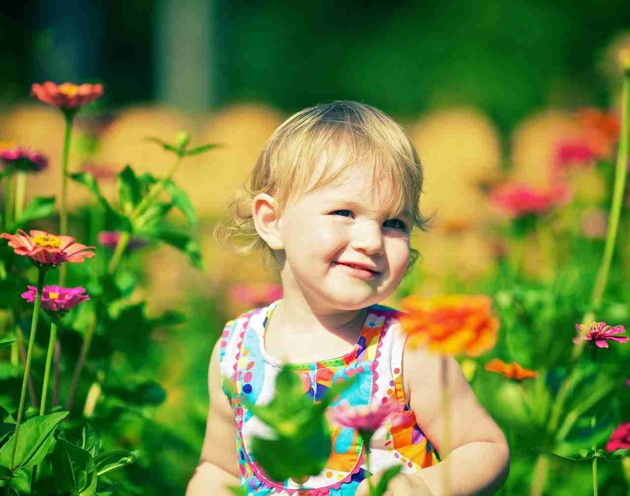 indien mignon bébé fond d'écran hd,enfant,bambin,fleur,herbe,prairie