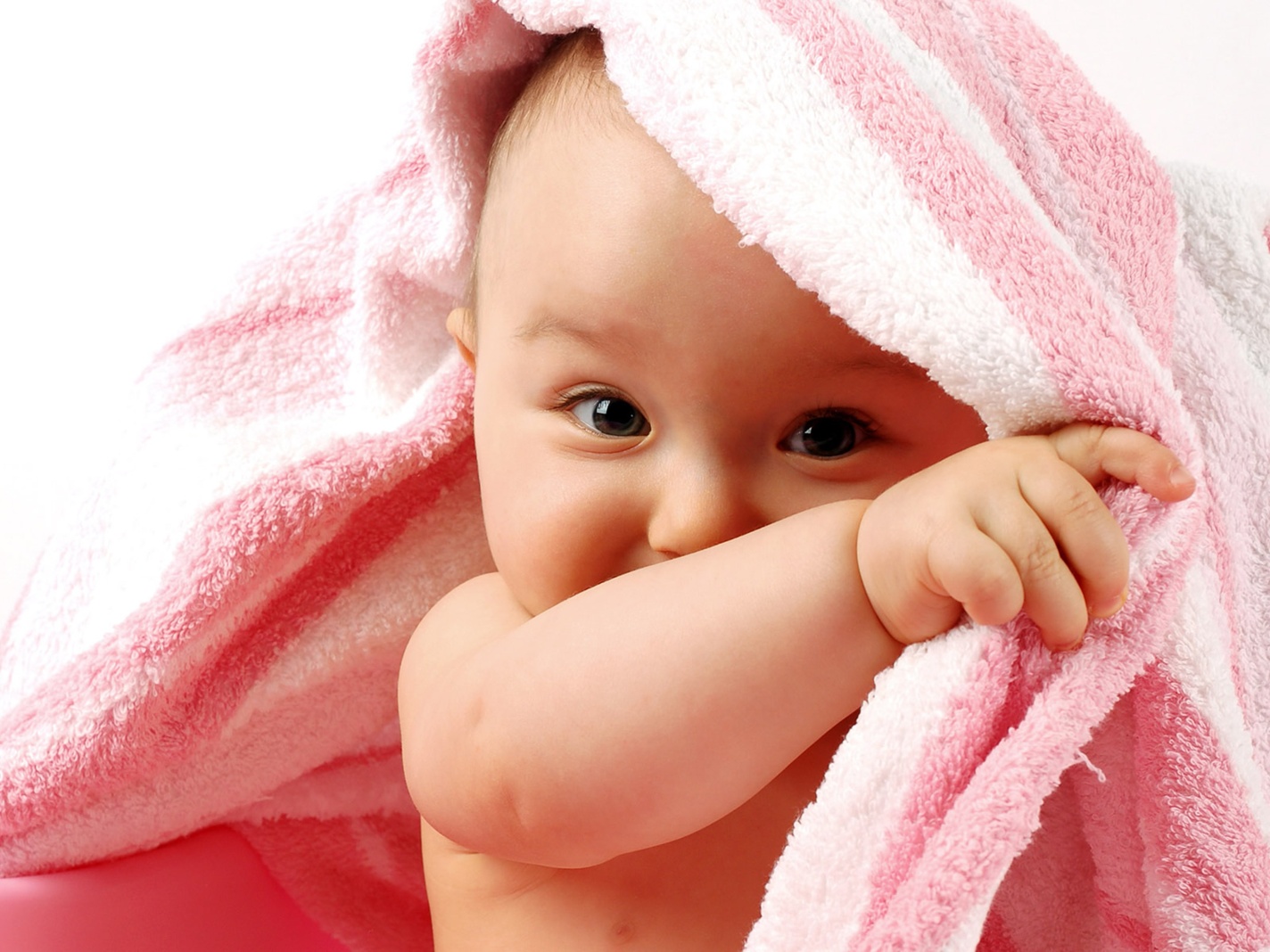 아기 벽지 hd 다운로드,아이,아가,분홍,유아,말뿐인