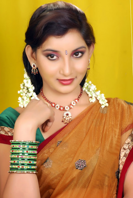 hero wallpapers heroine photo gallery,hair,sari,jewellery,photo shoot,trunk